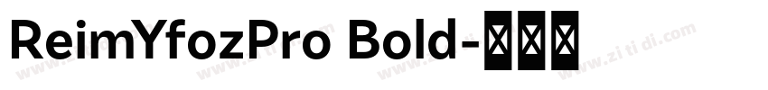 ReimYfozPro Bold字体转换